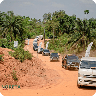 Noreta Farms media 11